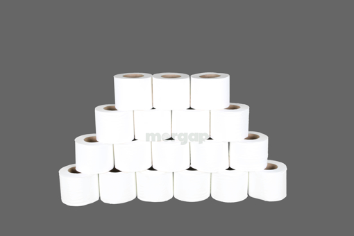 Picture of Tissues bath roll 12 cubes