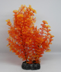 Picture of Aquatic plant 502