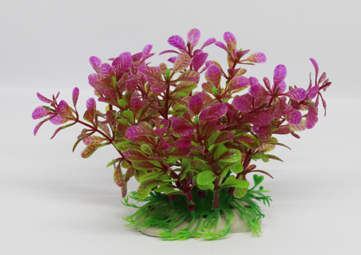 Picture of AQUATIC PLANT S 430