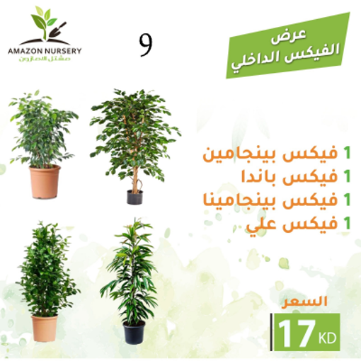 Picture of عرض 9