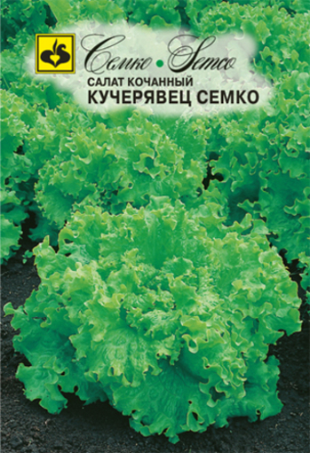 صورة بذور الخس CEMKO
