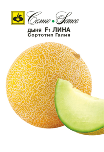 Picture of Watermelon seeds Lina F1