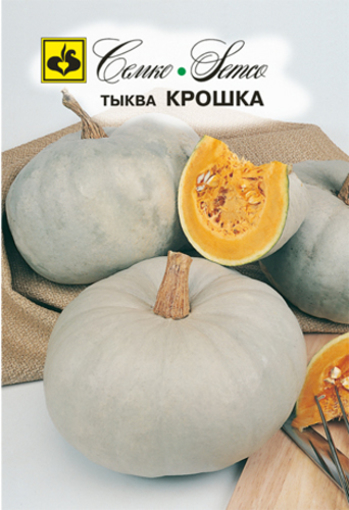 Picture of Gray pumpkin seeds