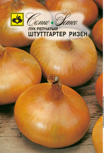 Picture of Golden onion seeds 2