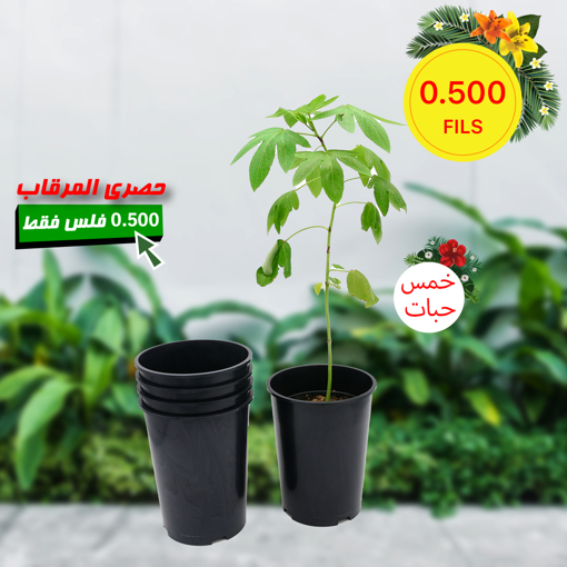 صورة حوض زراعي سم ٢٠ في ٥ سم عدد ٥ حبات