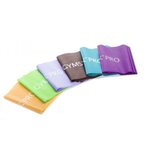 Picture of  Professional 2.5m exercise stick