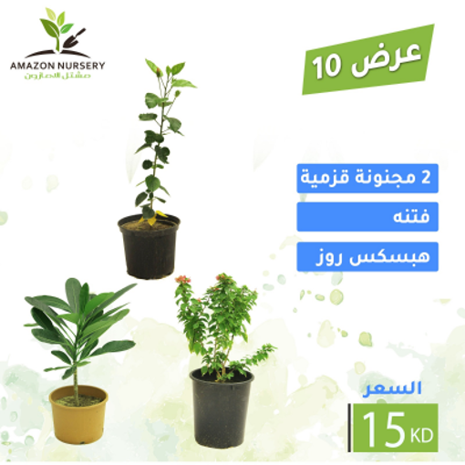 صورة عرض 10