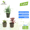 Picture of عرض 3