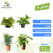 Picture of عرض 4