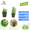 Picture of عرض 5