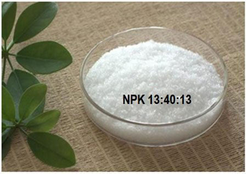 Picture of NPK-13-40-13+TE