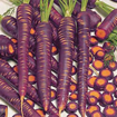 Picture of SEED-19 جزر احمر امريكي