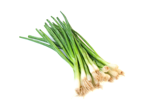 Picture of seed-7 قنار بصل اخضر(بصيلات)