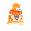 Picture of winter cap no 5