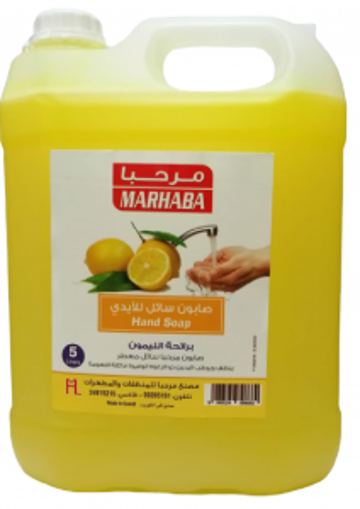 Picture of  liquid hand washing 5 liter