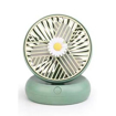 Picture of beautiful fan