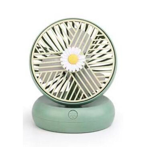 Picture of beautiful fan